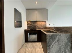 Leedon Green (D10), Condominium #565887821